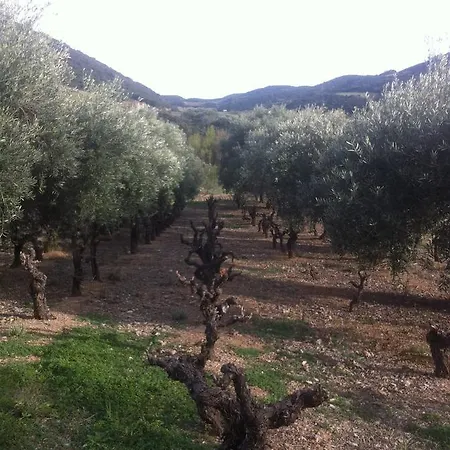 Ceps Roquebrun